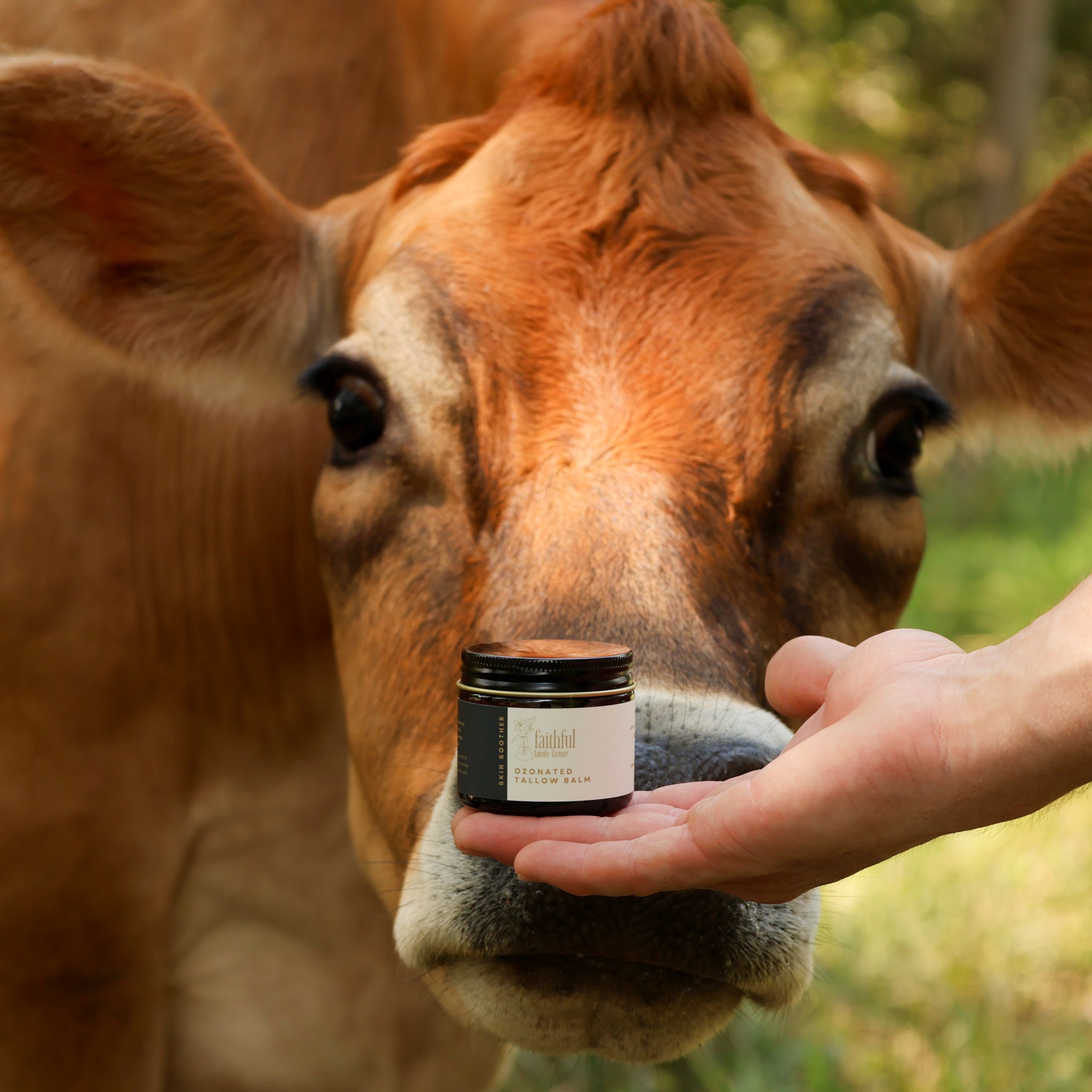 Ozonated_Tallow_Balm