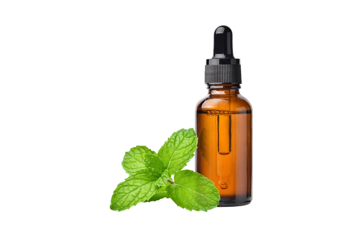 Peppermint Essential Oil
