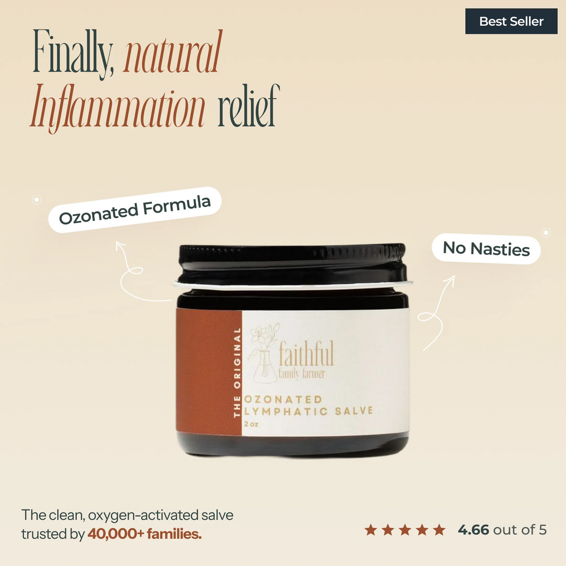 Ozonated Lymphatic Salve