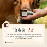 Ozonated Tallow Balm