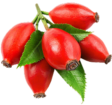 Rosehip Oil