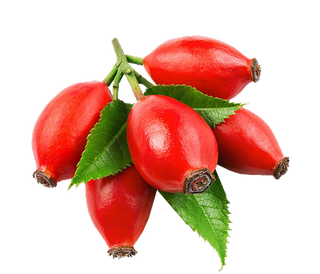 Rosehip Seed Oil
