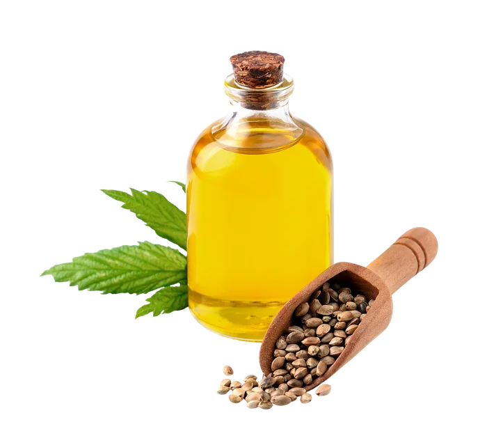 Organic Hemp Seed Oil
